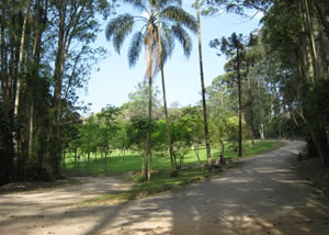 Parque Natural do Carmo em Itaquera