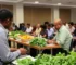 II Plano Municipal de Segurança Alimentar