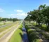 Parque do Carmo