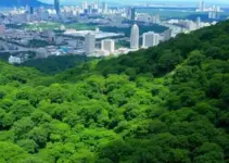 Bosques Urbanos