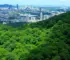 Bosques Urbanos